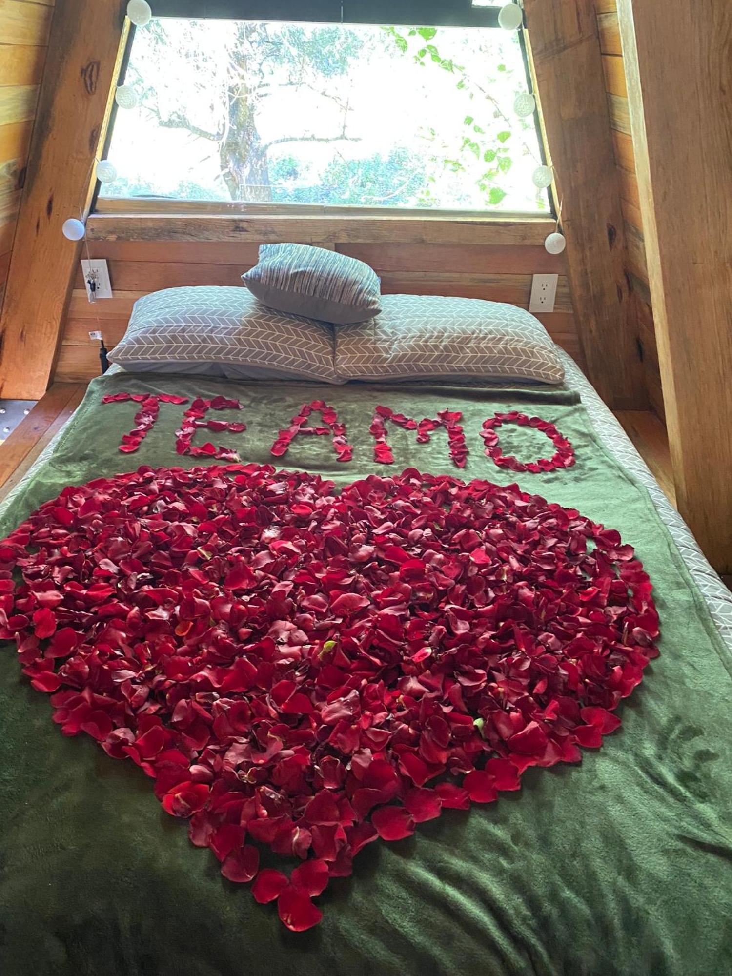 Cabanas Alpina, Romantica Y Acogedora A 10 Minutos Del Centro Tepoztlán Buitenkant foto