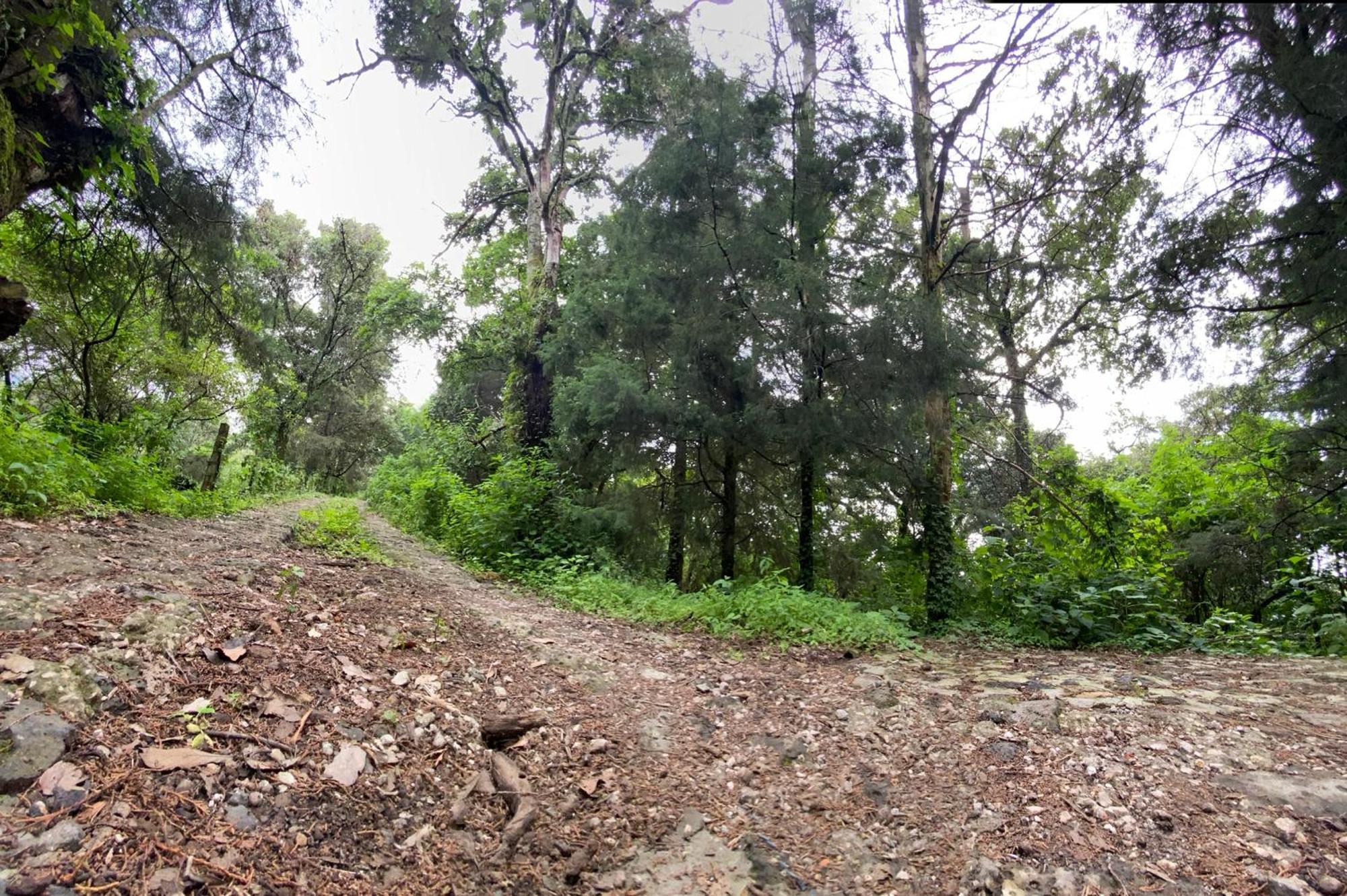 Cabanas Alpina, Romantica Y Acogedora A 10 Minutos Del Centro Tepoztlán Buitenkant foto