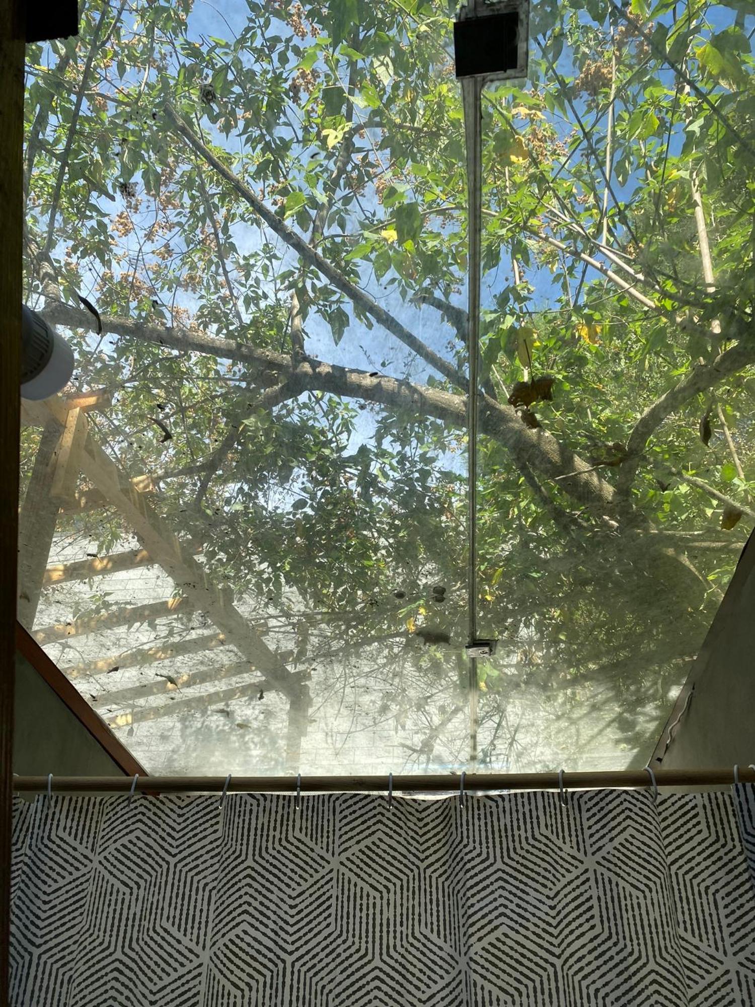 Cabanas Alpina, Romantica Y Acogedora A 10 Minutos Del Centro Tepoztlán Buitenkant foto